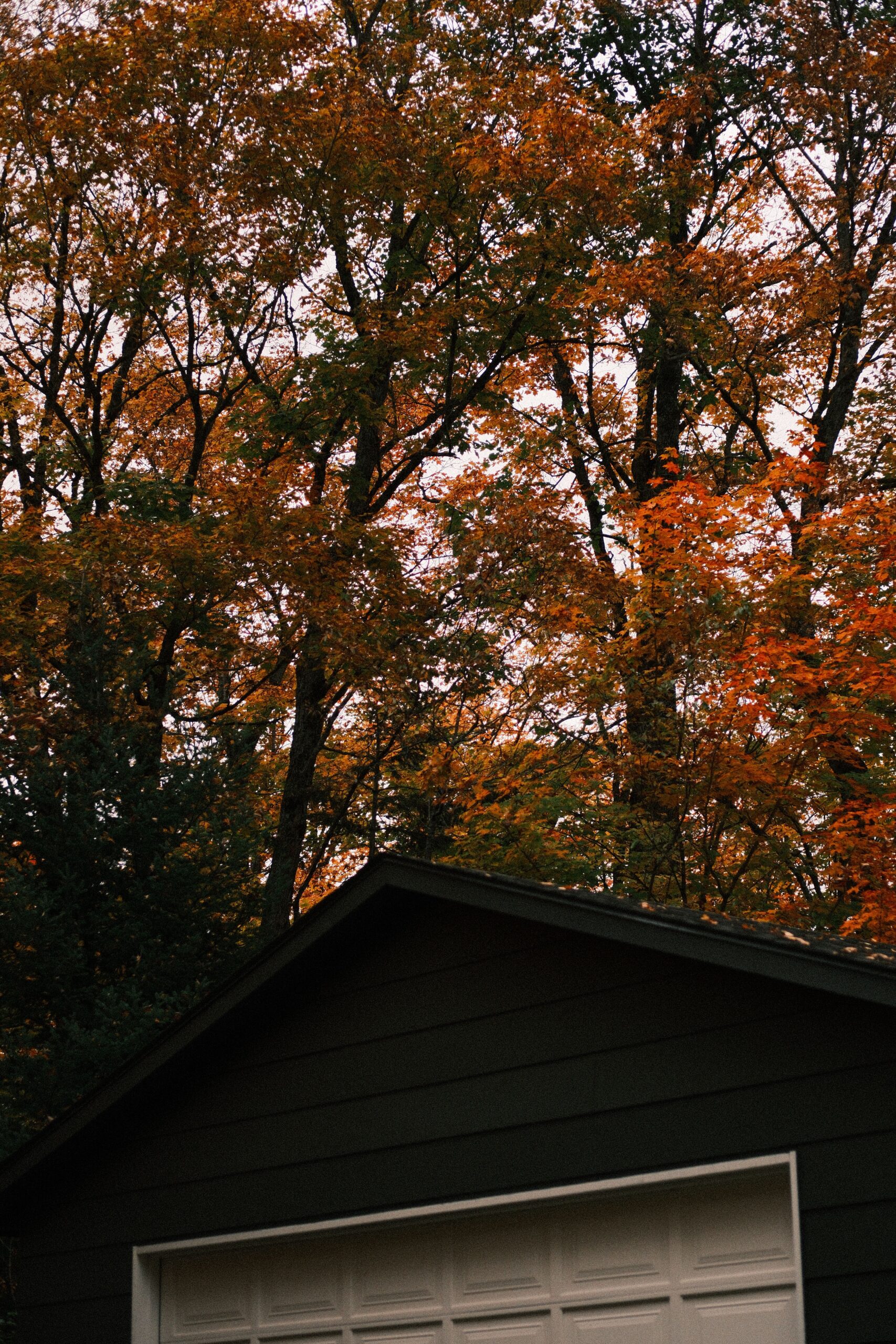 Autumn leaves covering a suburban house roof in fall, showing why fall gutter maintenance matters for Fayetteville homeowners